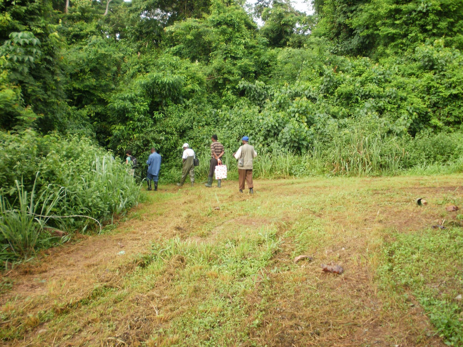 Entrance to Bia forest